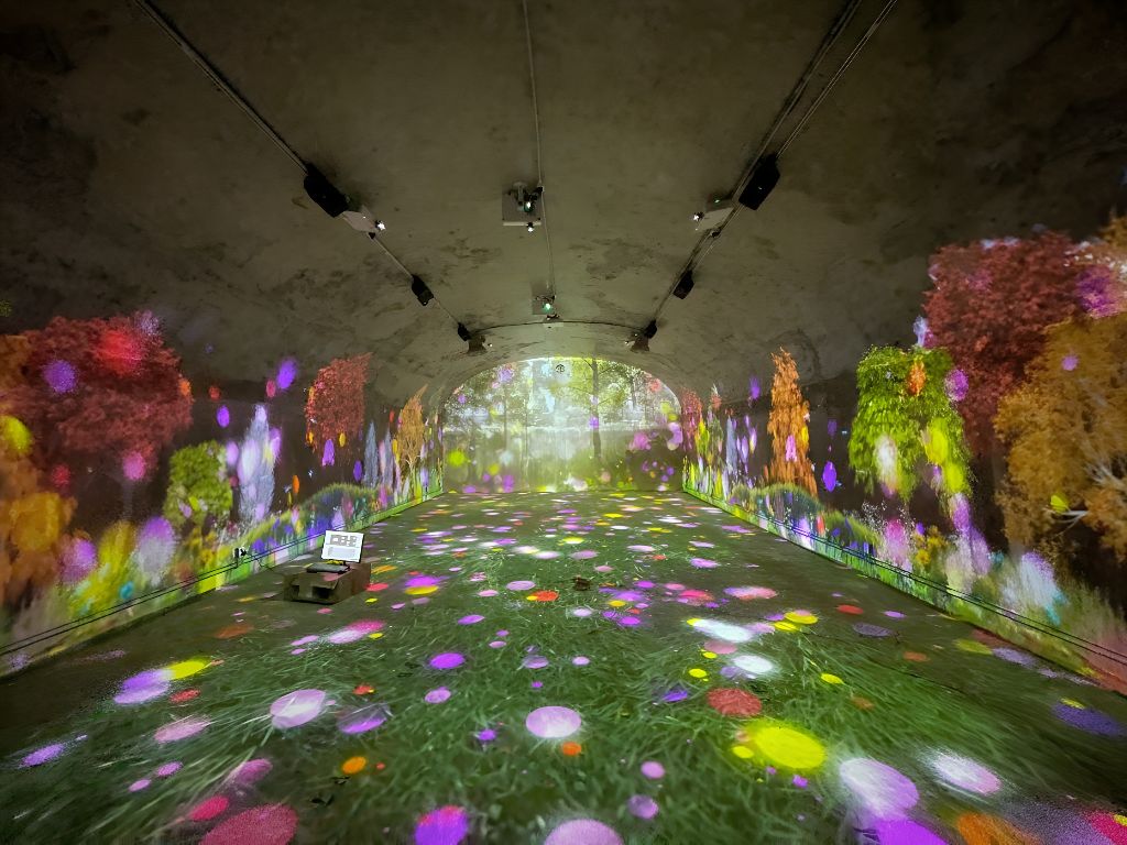 전시·관공서 빔프로젝터 콘텐츠 단품 몰입형 플라워 아트